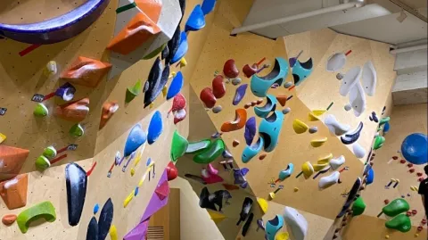 정모 대표 이미지