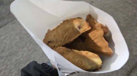 정모 대표 이미지