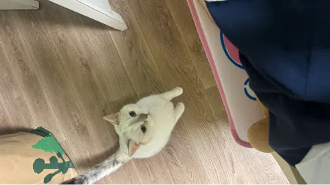 정모 대표 이미지