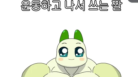 정모 대표 이미지