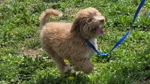 정모 대표 이미지