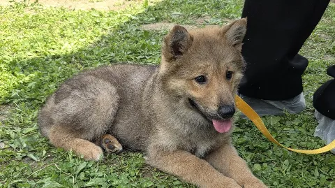 정모 대표 이미지