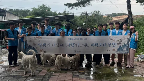 정모 대표 이미지