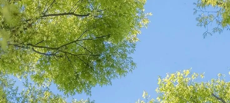 모임 이미지 1