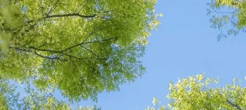 모임 대표 이미지