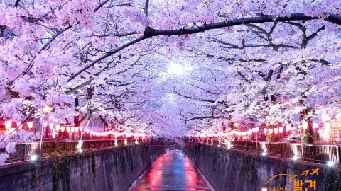 정모 대표 이미지