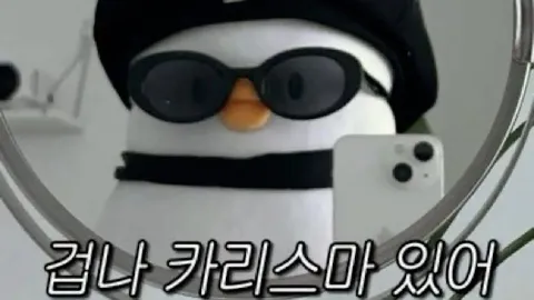 정모 대표 이미지