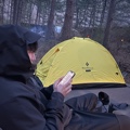 member face