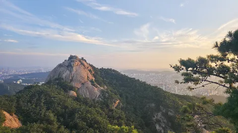 정모 대표 이미지