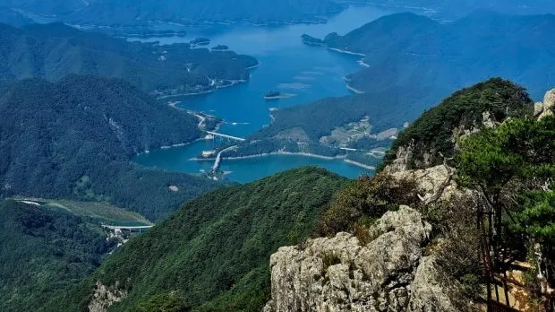 정모 대표 이미지