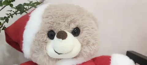 모임 대표 이미지