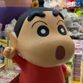 member face