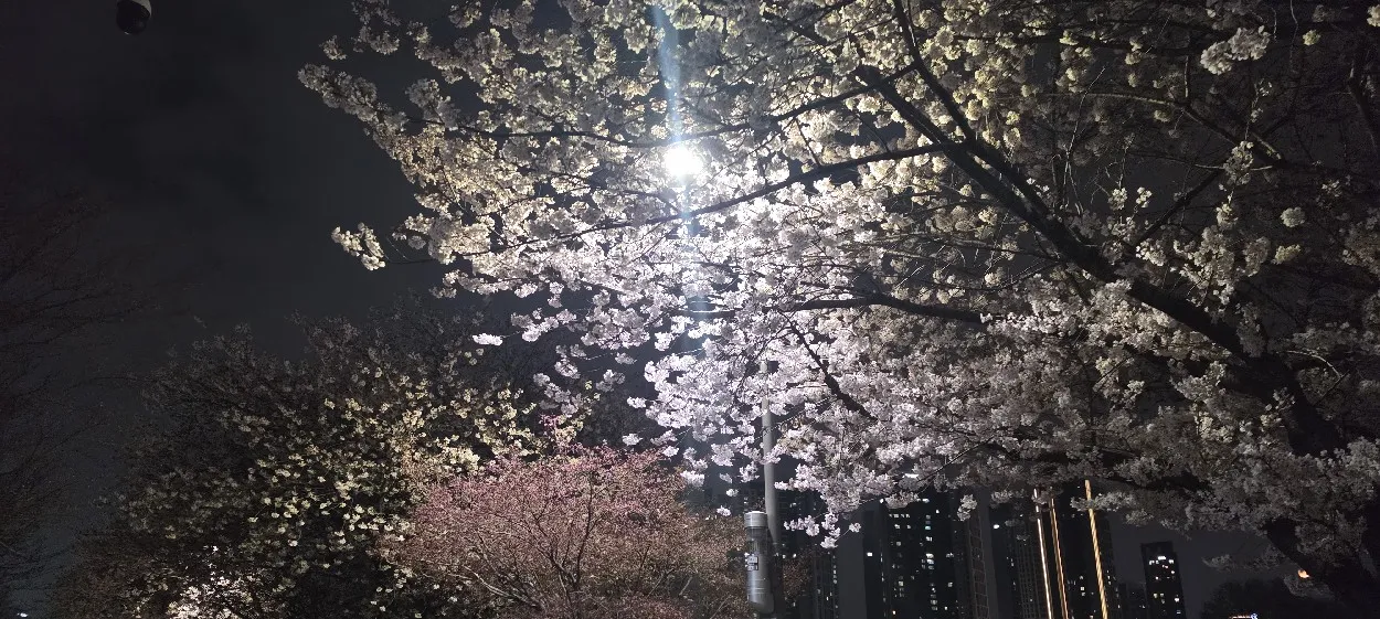 모임 이미지 1