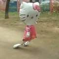 member face