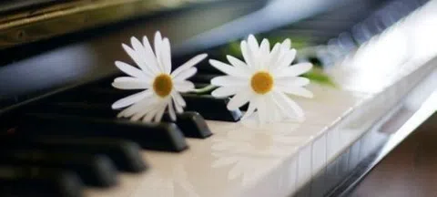 모임 대표 이미지