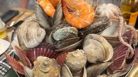 정모 대표 이미지