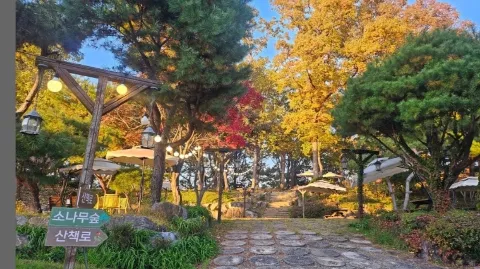정모 대표 이미지
