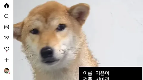 정모 대표 이미지