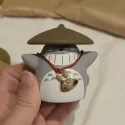 member face