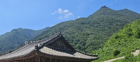 모임 대표 이미지