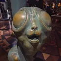 member face