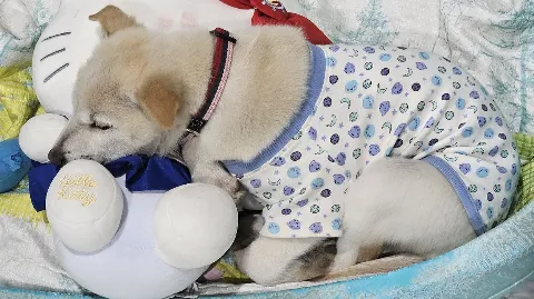 정모 대표 이미지