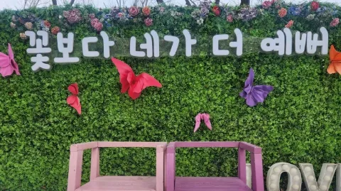 정모 대표 이미지