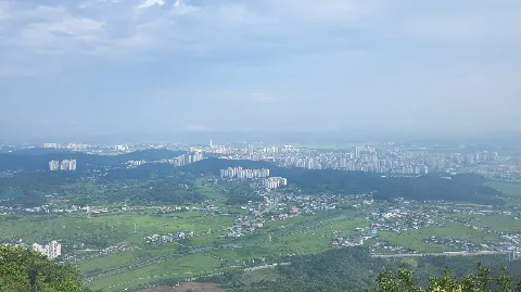 정모 대표 이미지