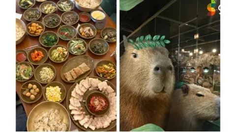 정모 대표 이미지