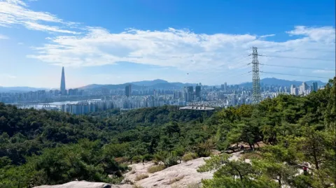 정모 대표 이미지