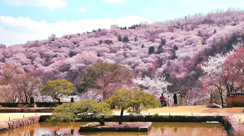 정모 대표 이미지