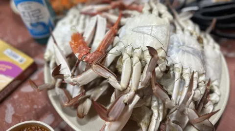 정모 대표 이미지