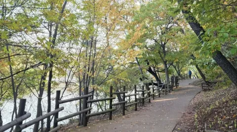 정모 대표 이미지