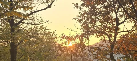 모임 대표 이미지