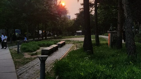 정모 대표 이미지