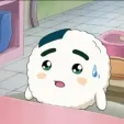 member face