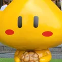 member face
