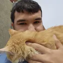 member face