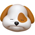 member face