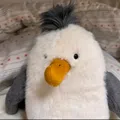 member face