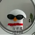 member face