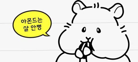 모임 대표 이미지