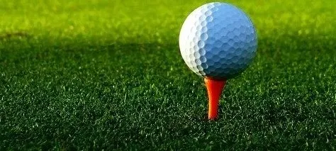 모임 대표 이미지