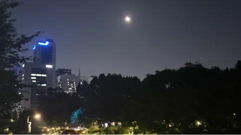 정모 대표 이미지