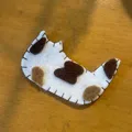 member face