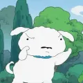 member face