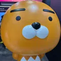 member face