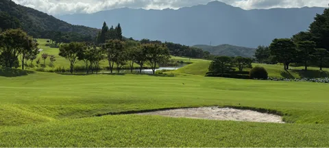 모임 대표 이미지