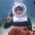 member face