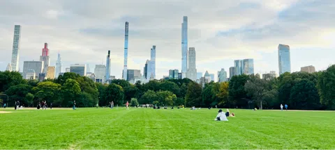 모임 대표 이미지